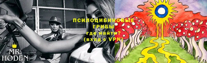 Галлюциногенные грибы Magic Shrooms  Любань 